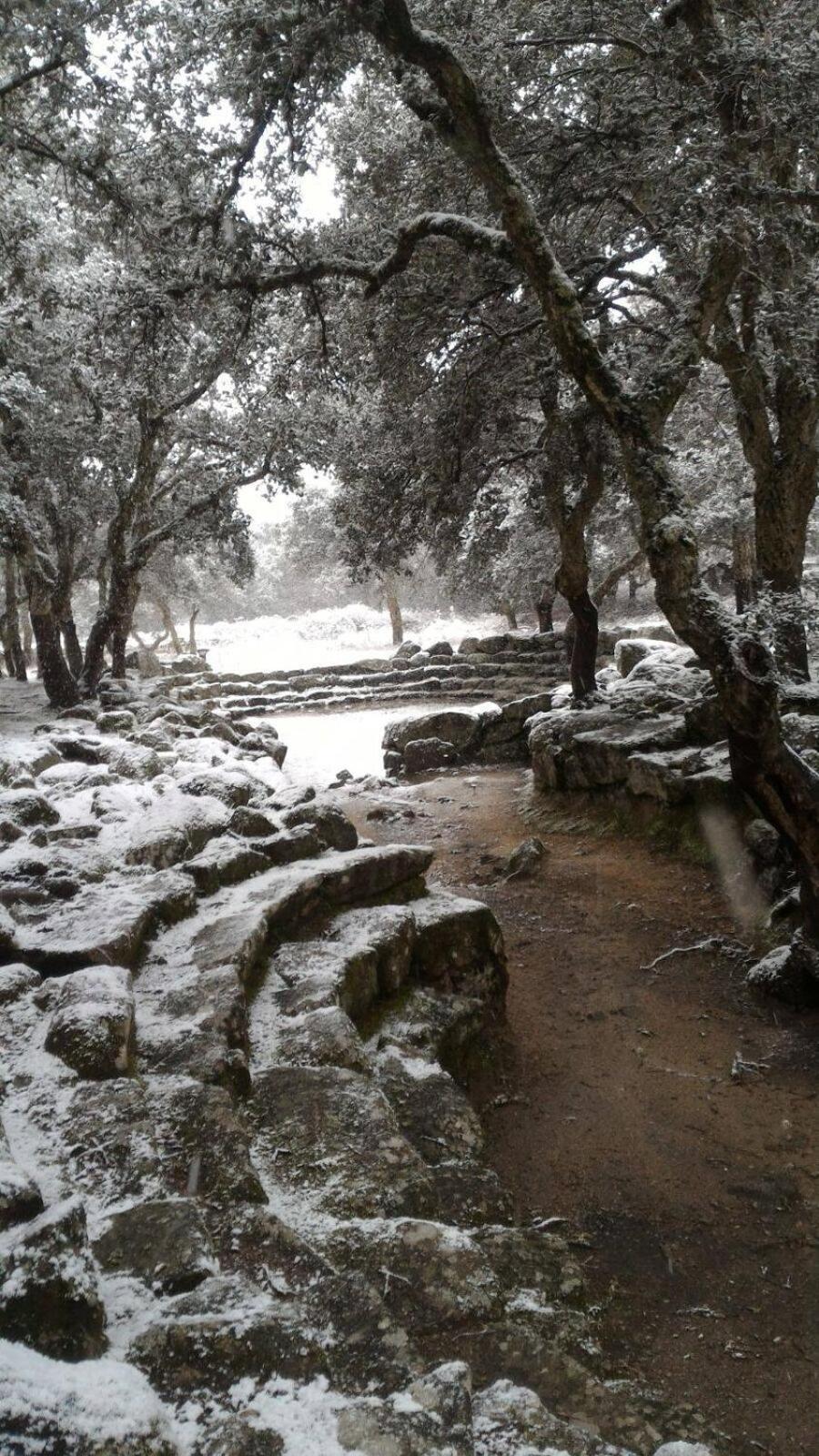 B&B Sa Zodia Guest House Bitti Bagian luar foto
